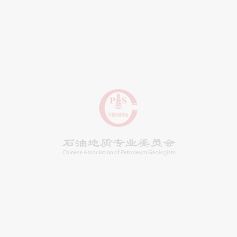 中东技术大学石油与天然气工程专业