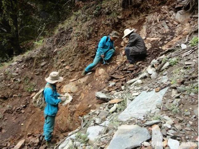 野外工作危险多，愿地质队员们平安归来