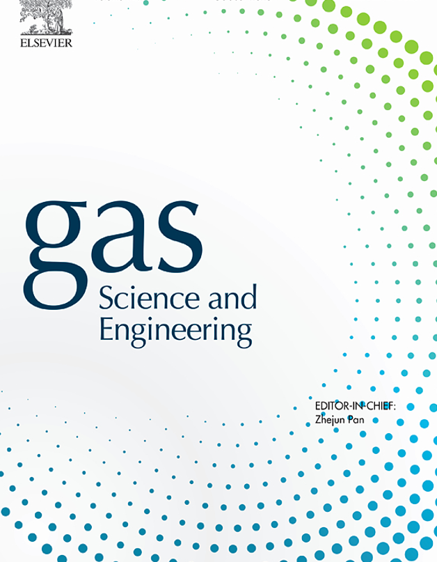 Gas Science and Engineering第144卷
