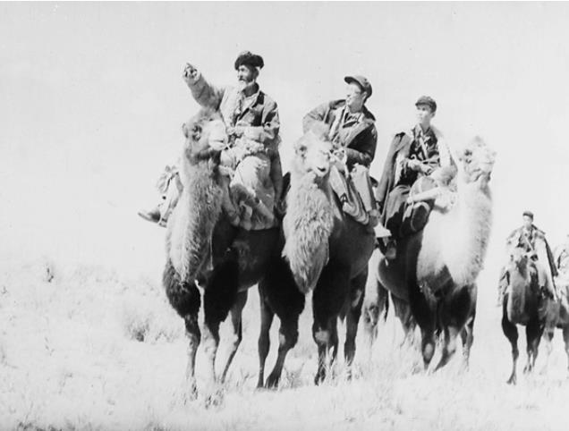 1752218493339861.jpg 77.jpg